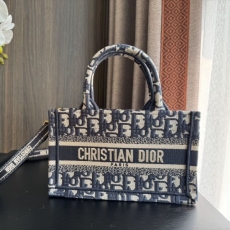 Christian Dior Shopping Bags